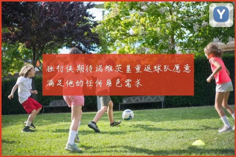 独行侠期待诺维茨基重返球队愿意满足他的任何角色需求