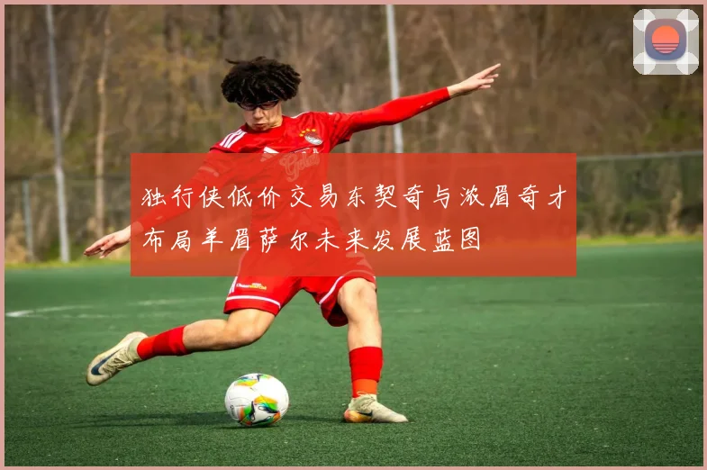 独行侠低价交易东契奇与浓眉奇才布局羊眉萨尔未来发展蓝图